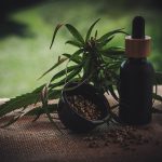 I Benefici dell'Olio CBD per il vostro amico a 4 zampe