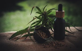 I Benefici dell'Olio CBD per il vostro amico a 4 zampe