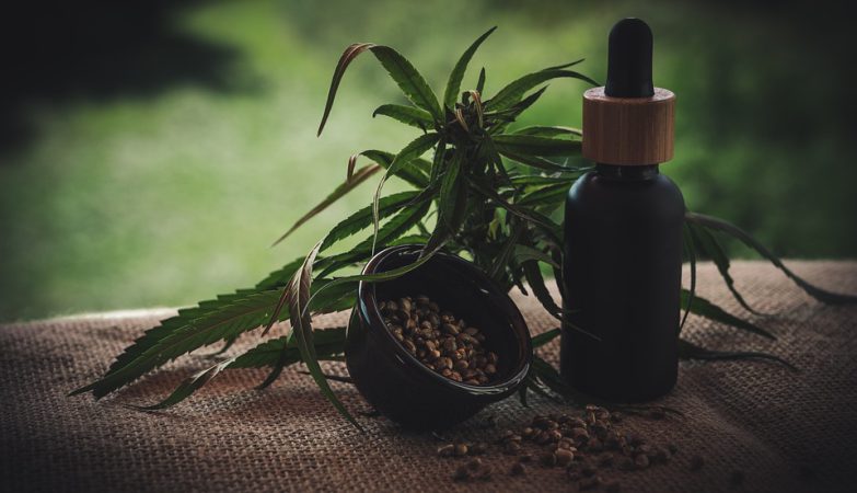 I Benefici dell'Olio CBD per il vostro amico a 4 zampe