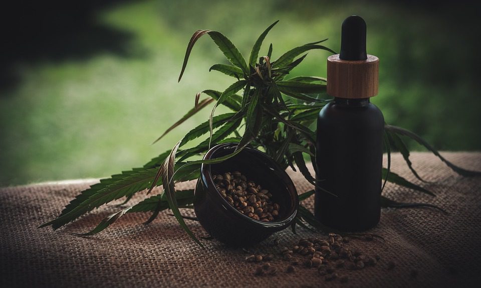 I Benefici dell'Olio CBD per il vostro amico a 4 zampe