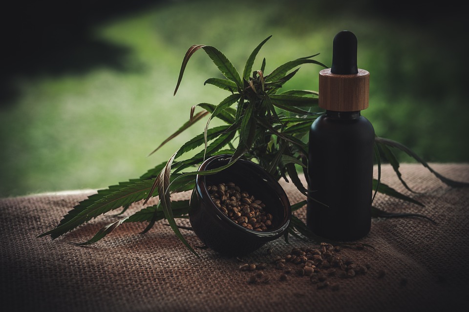 I Benefici dell’Olio CBD per il vostro amico a 4 zampe